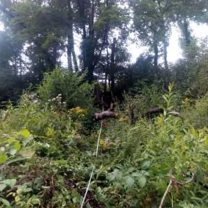 Deformacje szkody górnicze pomiary geologiczne metody geofizyczne